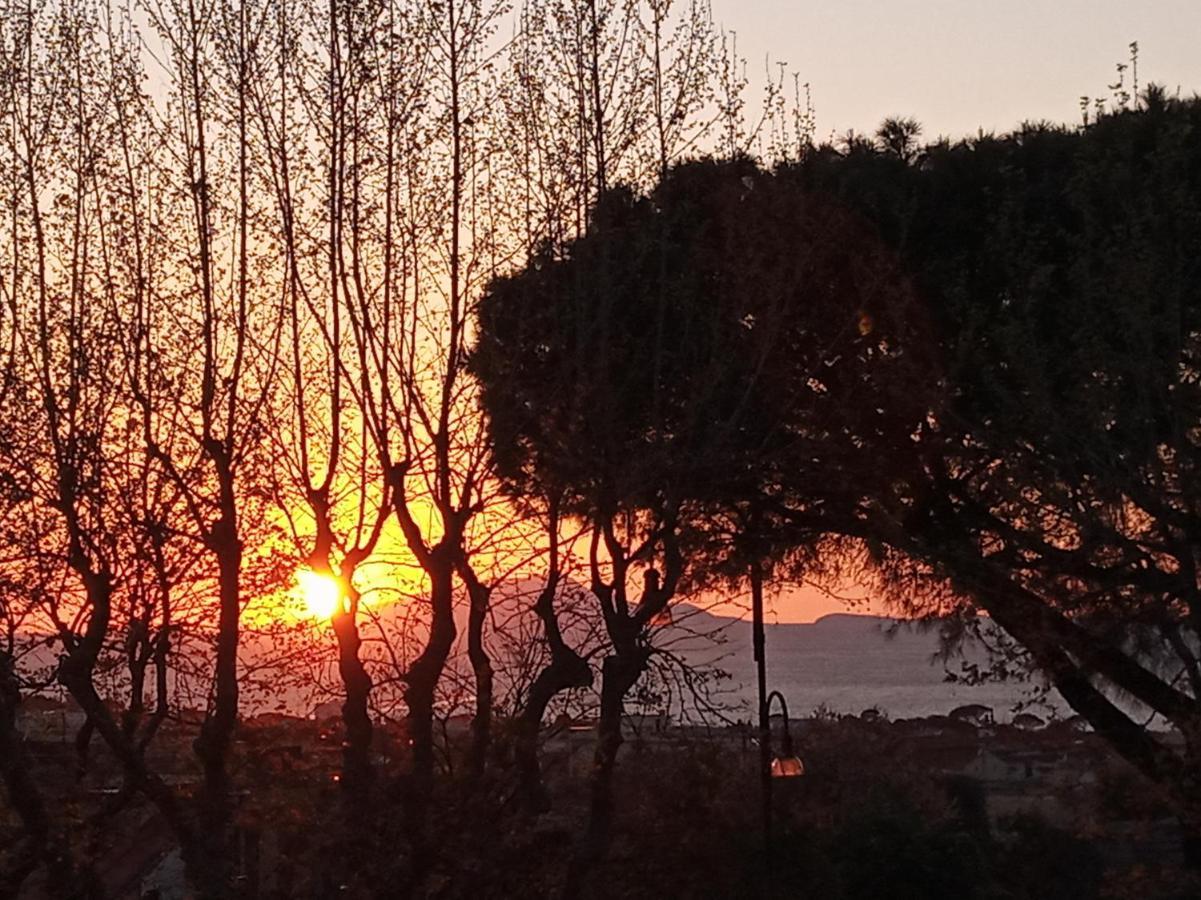 Bed and Breakfast Il Platano Piano di Sorrento Exterior foto